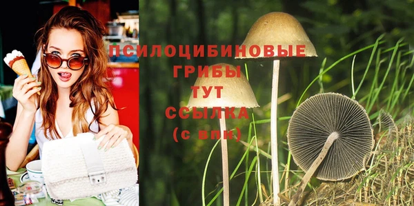 скорость Абаза