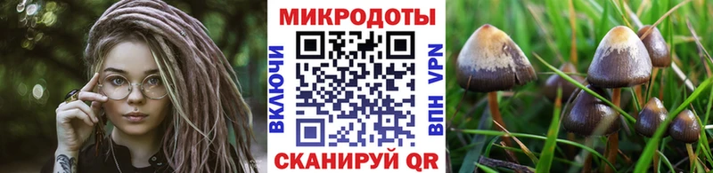 Галлюциногенные грибы GOLDEN TEACHER  мега маркетплейс  Краснокамск 