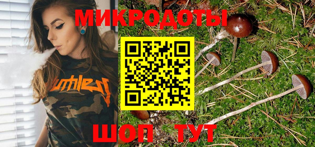 Псилоцибиновые грибы прущие грибы Краснокамск
