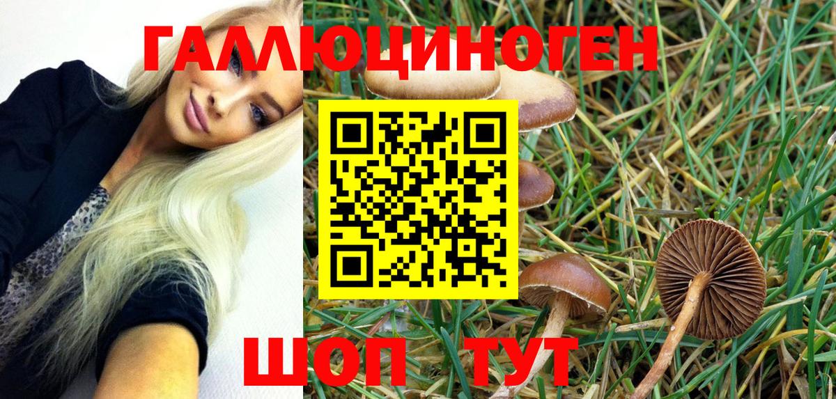 Псилоцибиновые грибы Cubensis  Псилоцибиновые грибы Psilocybe  Краснокамск  Вход с VPN 